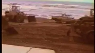Blue Whale Burial in PEI in 1987