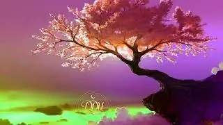 ذہنی طور پر مضبوط لوگوں کی 7 عادتیں | Strong Mindset Habits in Urdu#islamicreminder 