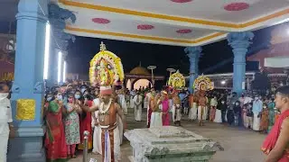 Trikkannad Pallivetta Thidamb Nritham | Rare Video |Aaratt Maholsavam | 2021