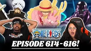 Law Vs Vergo & Luffy Had Enough! One Piece Reaction Episode 614 615 616 | Op Reaction