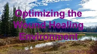 Optimizing Wound Healing