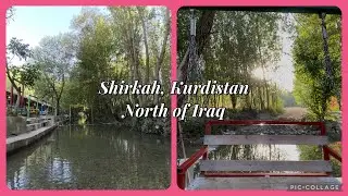 Morning serenity! Soothing sounds of nature #nature #photography #kurdistan #iraq 