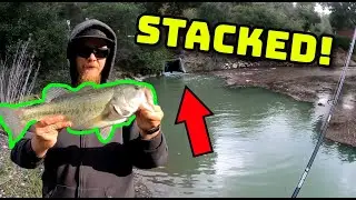 STACKED Spillway Bass Fishing! (Epic First Day of Spring)