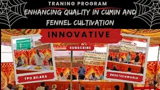 Enhancing Quality in Cumin and Fennel Cultivation: Innovative Practices Training #training