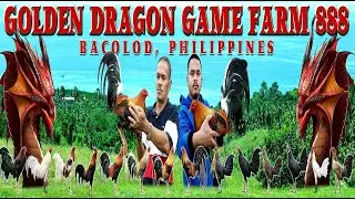 Welcome To The Range Area Of Golden Dragon Game Farm 888