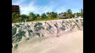 Пляж отеля Playa caleta