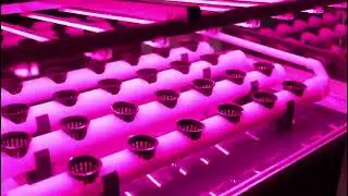 Food Replicator Demo