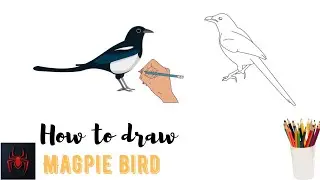 how to draw a magpie bird step by step easy using pencil ✏️✏️