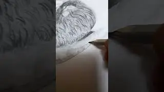K.G.F Yash portrait #shorts #kgf #kgfchapter2 #portrait #art #drawingtutorial