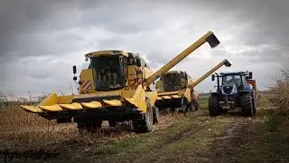 Kukurydza 2021 ☆ 2x New Holland TC 5070 & New Holland T7.195S | NH T6080★Podkarpacie★