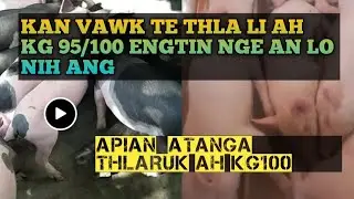 Kan vawk te thlali ah  kg95/ kg100 engtin nge alo nih theih ang.