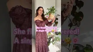 Abundant Christmas Cactus Flowers  😜 | How I made My Schlumbergera Flower