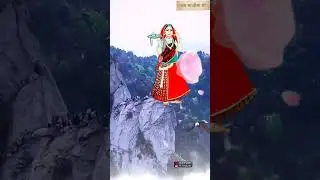 माजीसा स्टेटस 😍&hearts;️ | Jasol majisa new status 2023 | majisa HD status #shorts #viral  #majisastatus