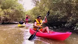 Kayaking in Karachi's mangrove forest