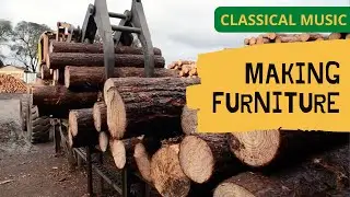 Wood Becomes Furniture to Mendelssohn's String Octet | Educational Videos for Kids