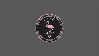 Pharaohs FSC - Carinthia Flamengo Futsal Club