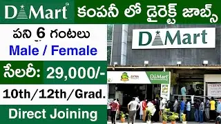 Dmart లో జాబ్స్ || dmart job vacancy 2023 || job vacancy 2023 ||