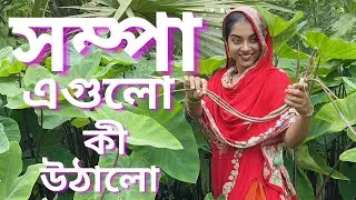 Village Style Cooking of Lamb Chicken & Beans Pilaf Recipe | Rural Life, #villagelife