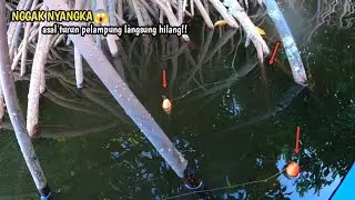 Dugaanku benar ternyata di spot ini banyak ikannya!! mancing di muara pake pelampung