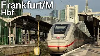 Züge in Frankfurt/M Hbf bei goldenem Novemberwetter | mit ICE L