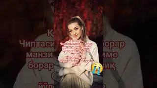 ЧИПТАСИ БОР.....  #rekkk