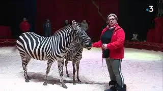 Les 