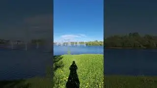 FOARA of Oulu | #oulu #foara #spring #visitoulu #wittyinoulu #shorts
