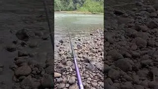 hujan #mancing #fishing