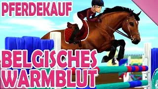 𝐁𝐄𝐋𝐆𝐈𝐒𝐂𝐇𝐄𝐒 𝐖𝐀𝐑𝐌𝐁𝐋𝐔𝐓 - 𝐏𝐅𝐄𝐑𝐃𝐄𝐊𝐀𝐔𝐅 🐴 Star Stable Online