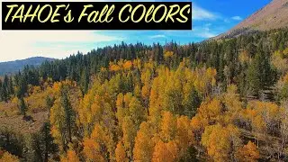 TAHOE's best FALL colors???  Hope Valley is STUNNING this time of year.