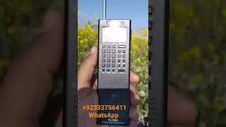 Tecsun PL-368