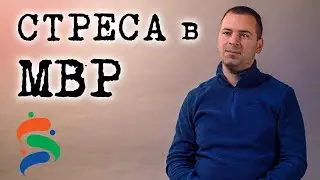 Стресът и рискът в МВР: как се справят служителите?
