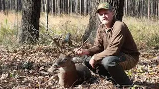 ALABAMA Public Land hunt and a skull mount in the woods!!
