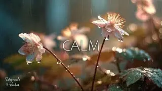 Soothing Piano at Night 🌌🌲 Deep Sleep Music with Forest Sounds for Calm & Relax