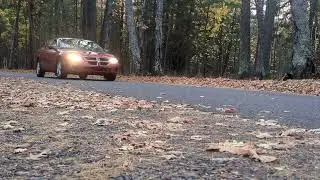 Red Car Driving in Autumn Forest on Leafy Road | Fall Drive