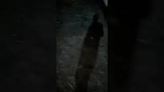 likwo
