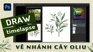 How to Draw Olive Branches by Pencil Brush - Vẽ nh&aacute;nh Oliu // Photoshop time lapse