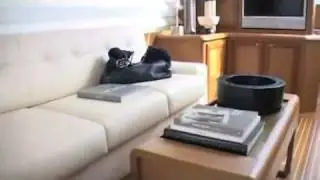 Mochi Craft Dolphin 64