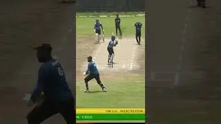 CricHeroes Live: Exploring the Thrills and Drama of Local Cricket