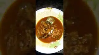 Tumbu DjTurtle