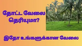 தோட்ட வேலை மிஸ் பண்ணிடாதீங்க மக்களே!!!! தொடர்புக்கு 9585933430.