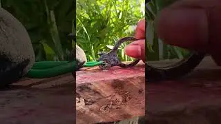 Amazing work Wood crafting #tips #diy #tricks #wood #virals #unitedstates