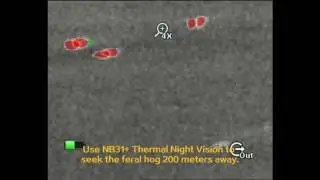 Use NB31+ Thermal Night Vision to seek the feral hog 200 meters away