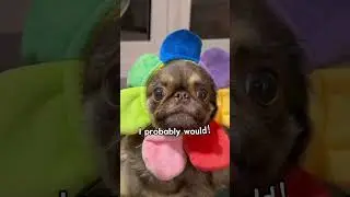 Мысли в душе, которые сломают ваш мозг (и ваше эго!) 💭😂