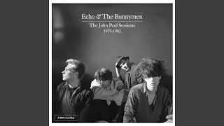 Silver (John Peel Session)