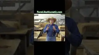 Why Homesteading Near A City is Beneficial #farming #homestead #agriculture  #joelsalatin