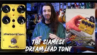 Siamese Dream Lead Tone without the Price Tag | PastFx distortiion