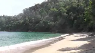 Tobago - Castara and Englishman's Bay