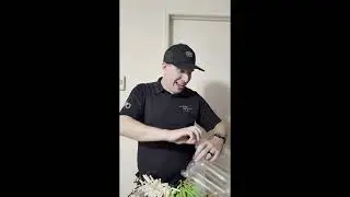 Beer Mug Balloon Tutorial