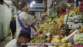 WFP Foodprints |  🌎 🍃 Amazon&iacute;a